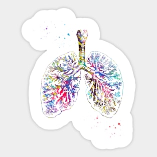 Anatomical Lungs Sticker